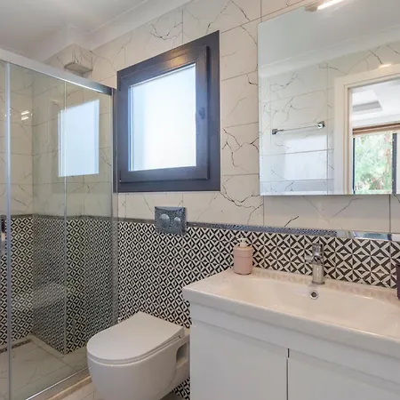 Hisar Celebrity A フェティエ