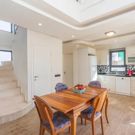 Hisar Celebrity A フェティエ